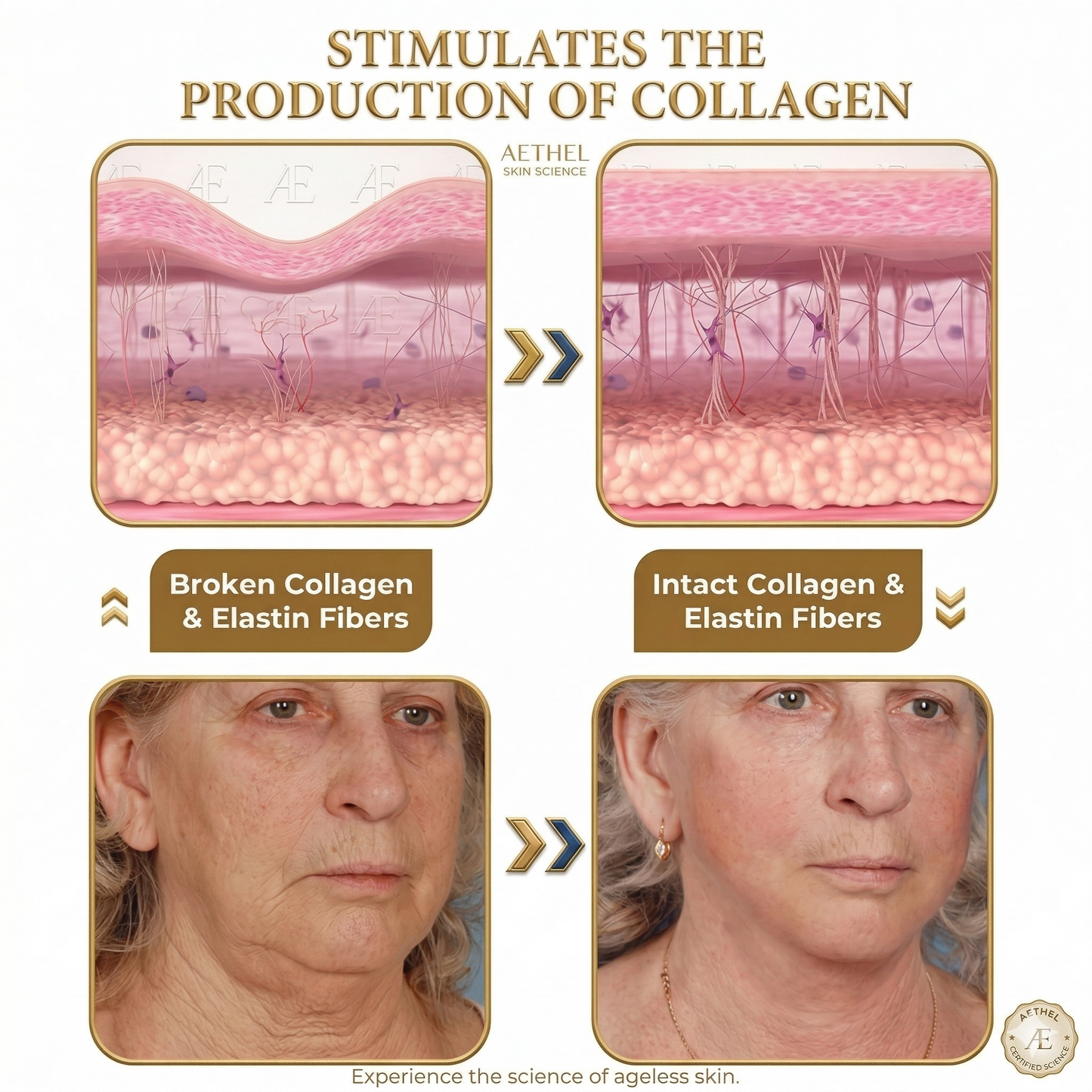 Lumivora Botox Bee Venom Cream 20g